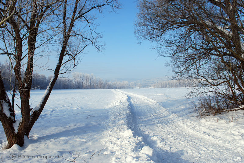 Foto: Bilderrampe.de