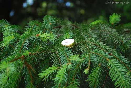 baumschmuck baumschmuck