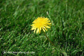 Politischer Frühling