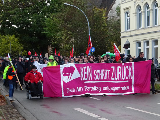 Demo in Oldenburg gegen die AfD